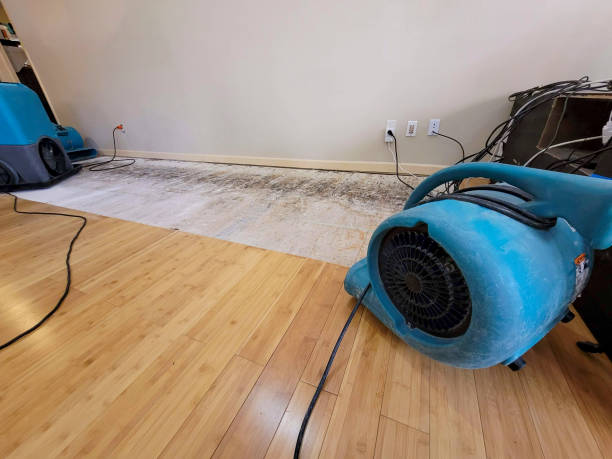 Professional Sewage Cleanup technician working in Park Valley, UT
